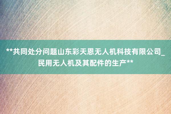 **共同处分问题山东彩天恩无人机科技有限公司_民用无人机及其配件的生产**